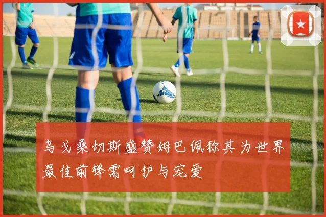 乌戈桑切斯盛赞姆巴佩称其为世界最佳前锋需呵护与宠爱