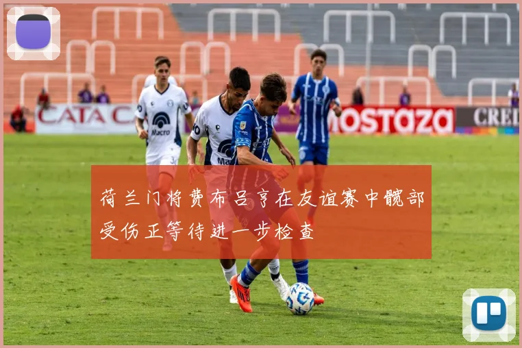 荷兰门将费布吕亨在友谊赛中髋部受伤正等待进一步检查