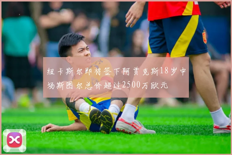 纽卡斯尔即将签下阿贾克斯18岁中场斯图尔总价超过2500万欧元